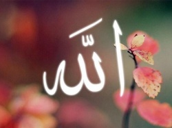 اللَّهِ -  -  